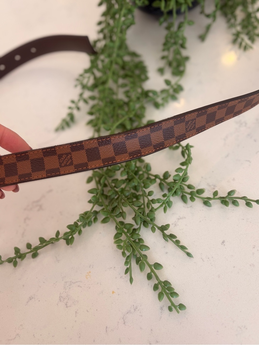 Louis Vuitton Brown Damier Canvas Belt with Gold LV Buckle - Picture 5 of 5